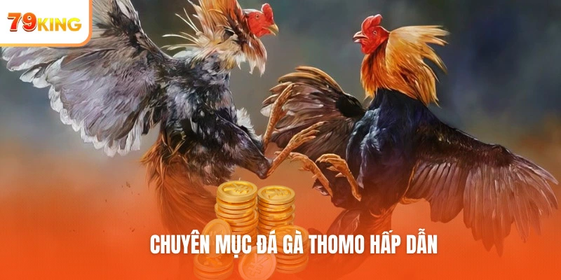 Chuyên mục đá gà THOMO hấp dẫn