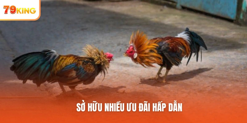 Sở hữu nhiều ưu đãi hấp dẫn
